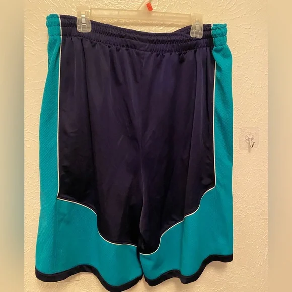 Jordan Charlotte Hornets Jersey shorts